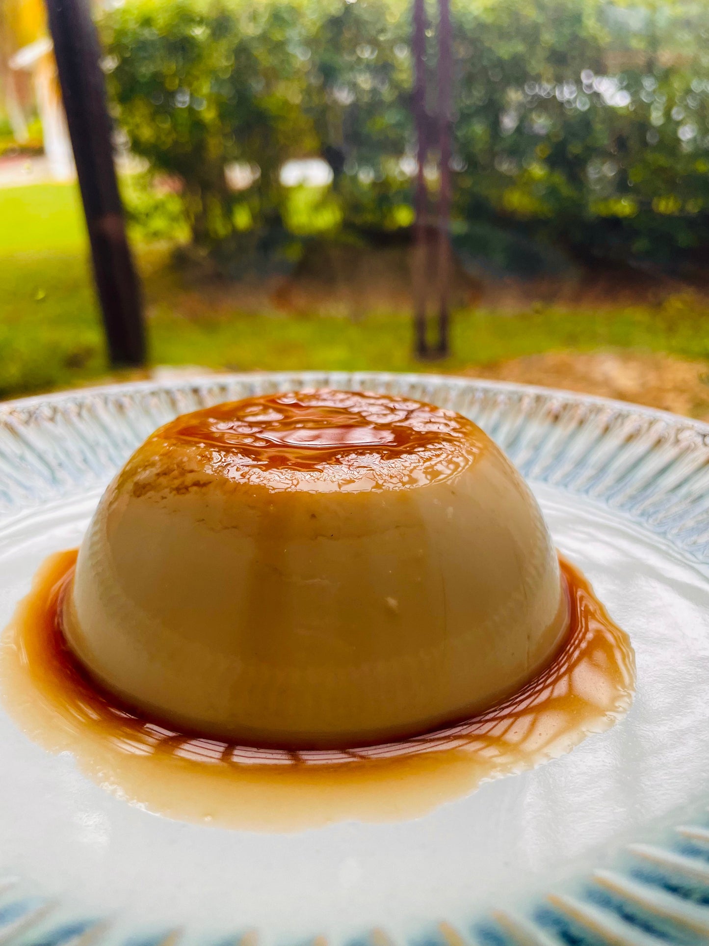 CURSO VIRTUAL : POSTRES VEGANOS (PARTE 1): CUPCAKES, TRES LECHES & FLAN